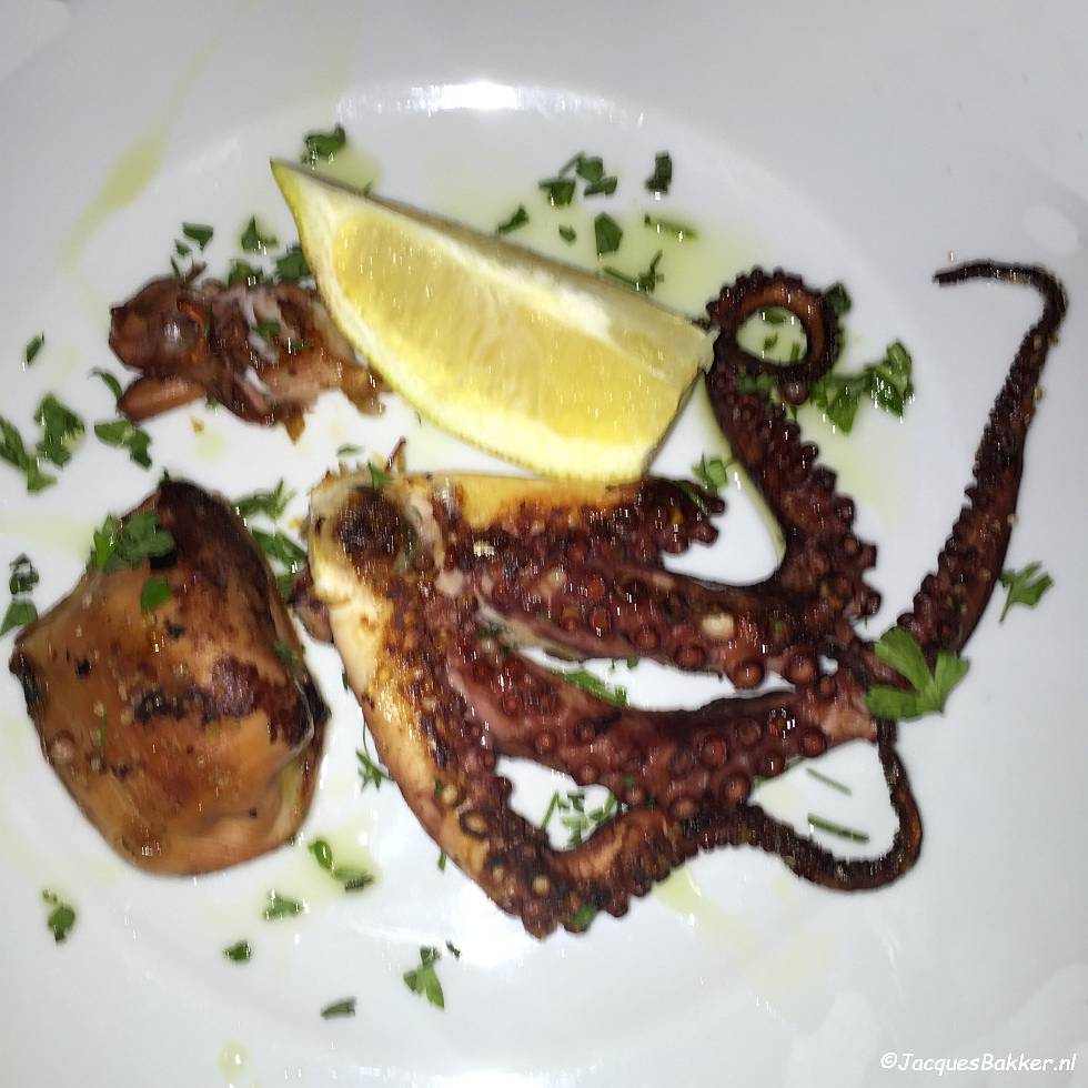 Octopus